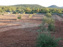 Affordable agricultural land with the possibility of building - Vodice
