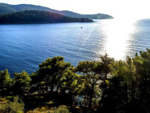 Unique land in an exclusive location by the sea on the island of Korčula