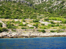 Agricultural land of 40,000 m2 by the sea - Island of Hvar