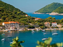 Land of 30,000 m2 with three old houses for renovation near Dubrovnik